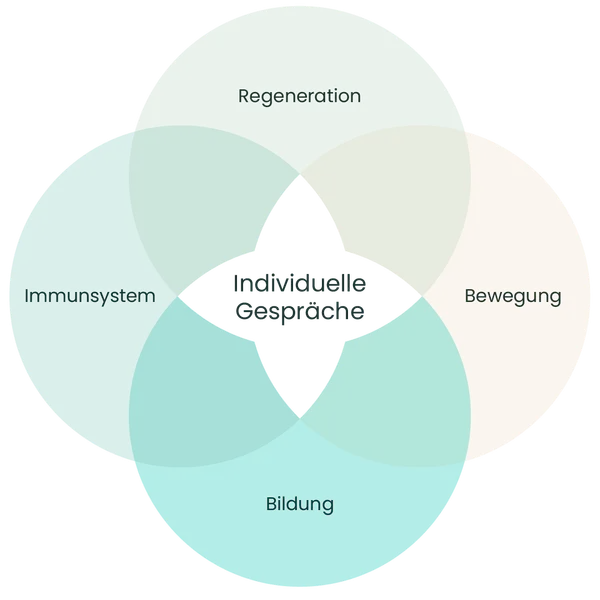Die 5-Faltigkeit von HyHealth